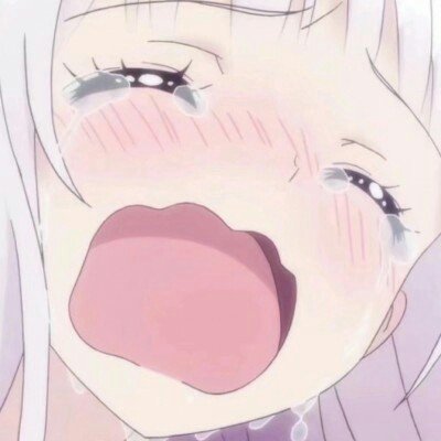 揽胜回应被模仿
